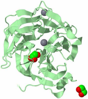 Image Biological Unit 2