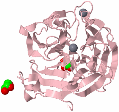 Image Biological Unit 3