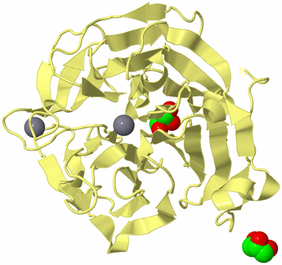 Image Biological Unit 4