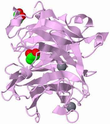 Image Biological Unit 5