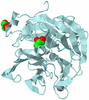 Image Biological Unit 6