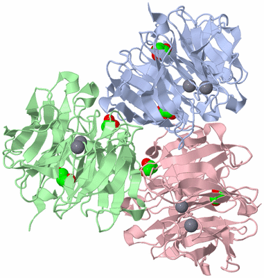 Image Biological Unit 7