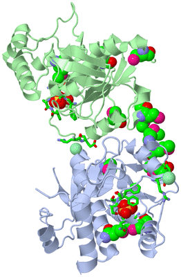 Image Biol. Unit 1 - sites