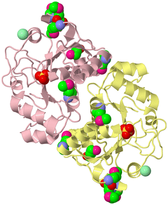 Image Biological Unit 2