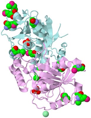 Image Biological Unit 3