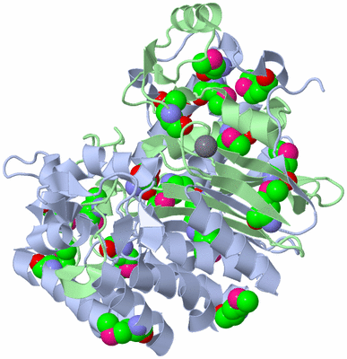 Image Biological Unit 1