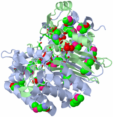 Image Biol. Unit 1 - sites