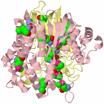 Image Biological Unit 2