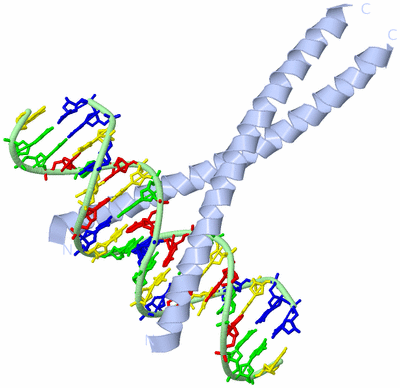 Image Biological Unit 1