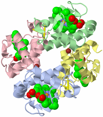 Image Biological Unit 1