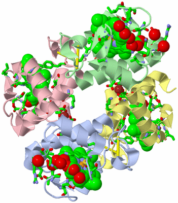 Image Biol. Unit 1 - sites