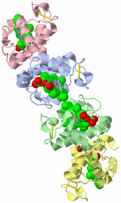 Image Biological Unit 2