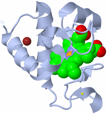 Image Biological Unit 3