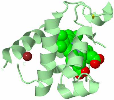 Image Biological Unit 4