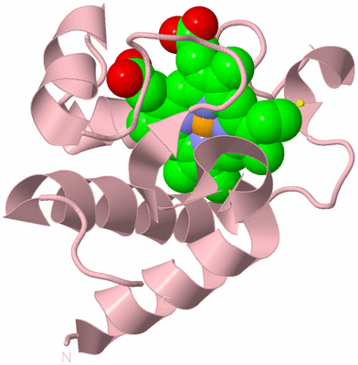 Image Biological Unit 5