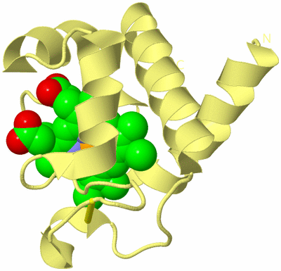 Image Biological Unit 6