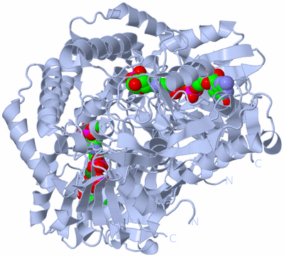 Image Biological Unit 1