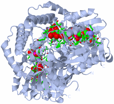 Image Biol. Unit 1 - sites