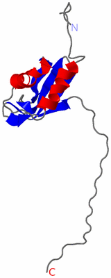 Image NMR Structure - model 1