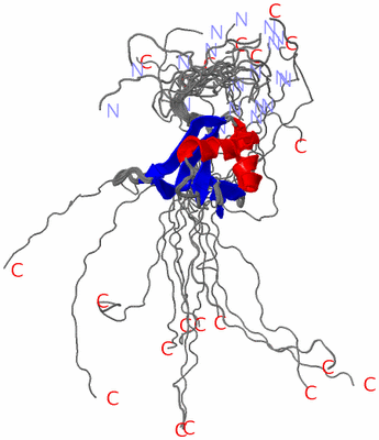 Image NMR Structure - all models