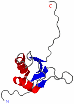 Image NMR Structure - model 1