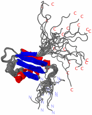 Image NMR Structure - all models