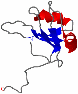 Image NMR Structure - model 1