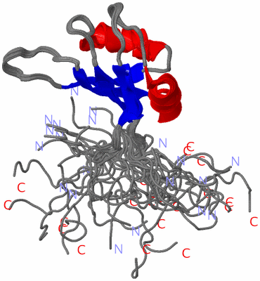 Image NMR Structure - all models