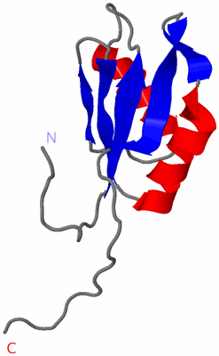 Image NMR Structure - model 1