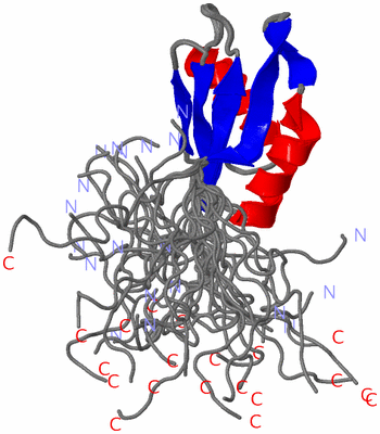 Image NMR Structure - all models