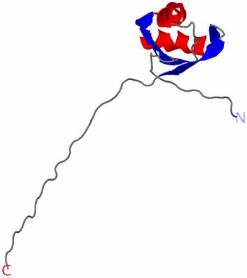 Image NMR Structure - model 1