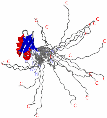 Image NMR Structure - all models