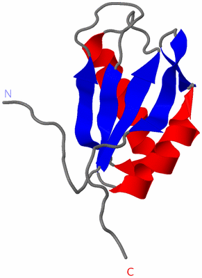 Image NMR Structure - model 1