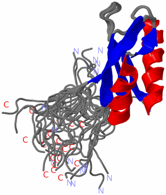 Image NMR Structure - all models