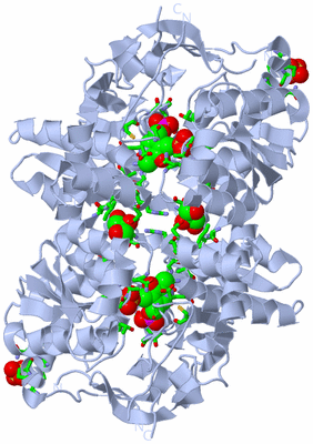 Image Biol. Unit 1 - sites