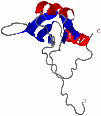 Image NMR Structure - model 1