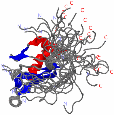 Image NMR Structure - all models