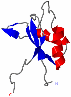 Image NMR Structure - model 1