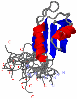 Image NMR Structure - all models