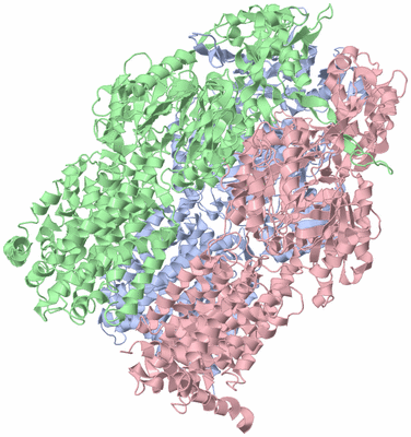 Image Asym./Biol. Unit