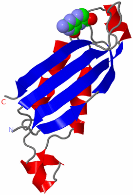 Image Asymmetric Unit