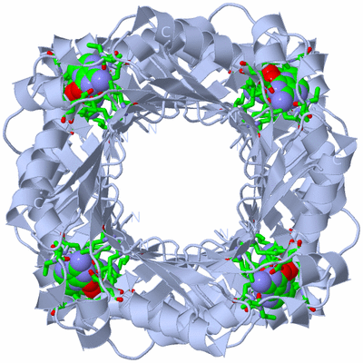 Image Biol. Unit 1 - sites