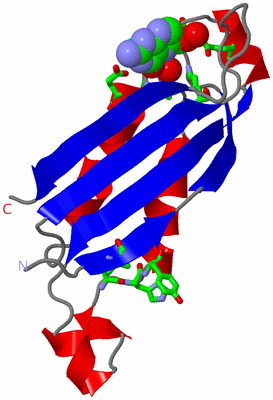 Image Asym. Unit - sites