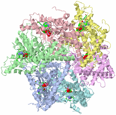 Image Asym./Biol. Unit - sites