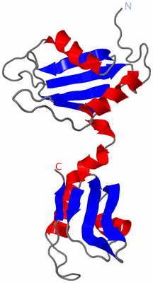 Image NMR Structure - model 1