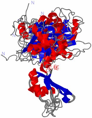 Image NMR Structure - all models