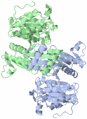 Image Asym./Biol. Unit