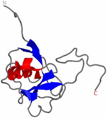 Image NMR Structure - model 1