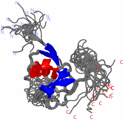 Image NMR Structure - all models