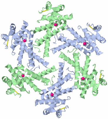 Image Biological Unit 1